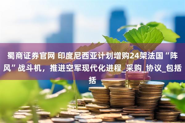 蜀商证券官网 印度尼西亚计划增购24架法国“阵风”战斗机，推进空军现代化进程_采购_协议_包括