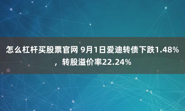 怎么杠杆买股票官网 9月1日爱迪转债下跌1.48%，转股溢价率22.24%